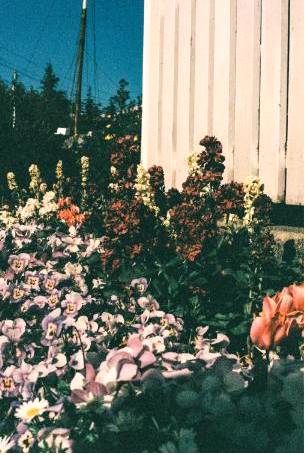 Studio workspace with flowers